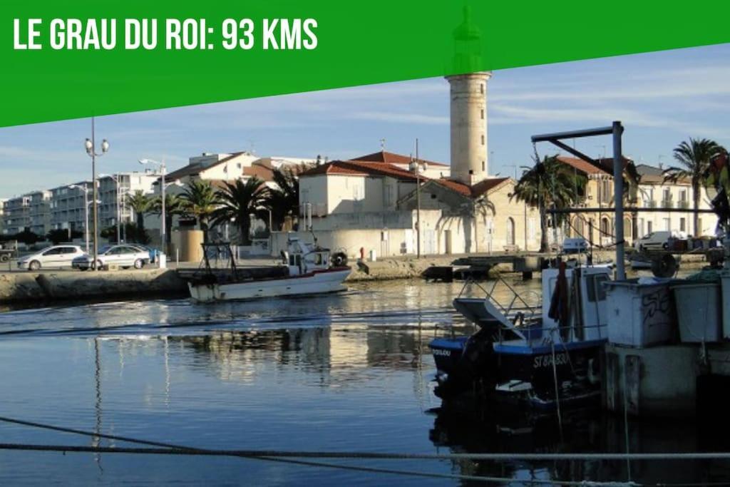 Maya 2 - Picholine - - Clim - Wifi - Terrasse